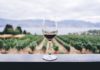dove si beve più vino