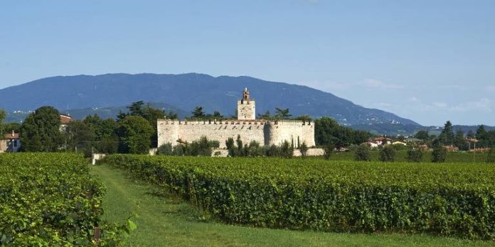 i vitigni della Lombardia