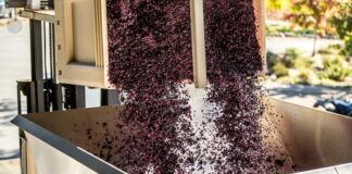 HACCP per vino, cantine e vinerie